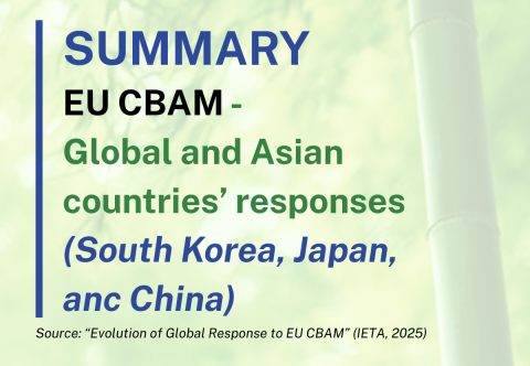CBAM - One Year On: A Catalyst For Global Climate Policy and Responses of Countries